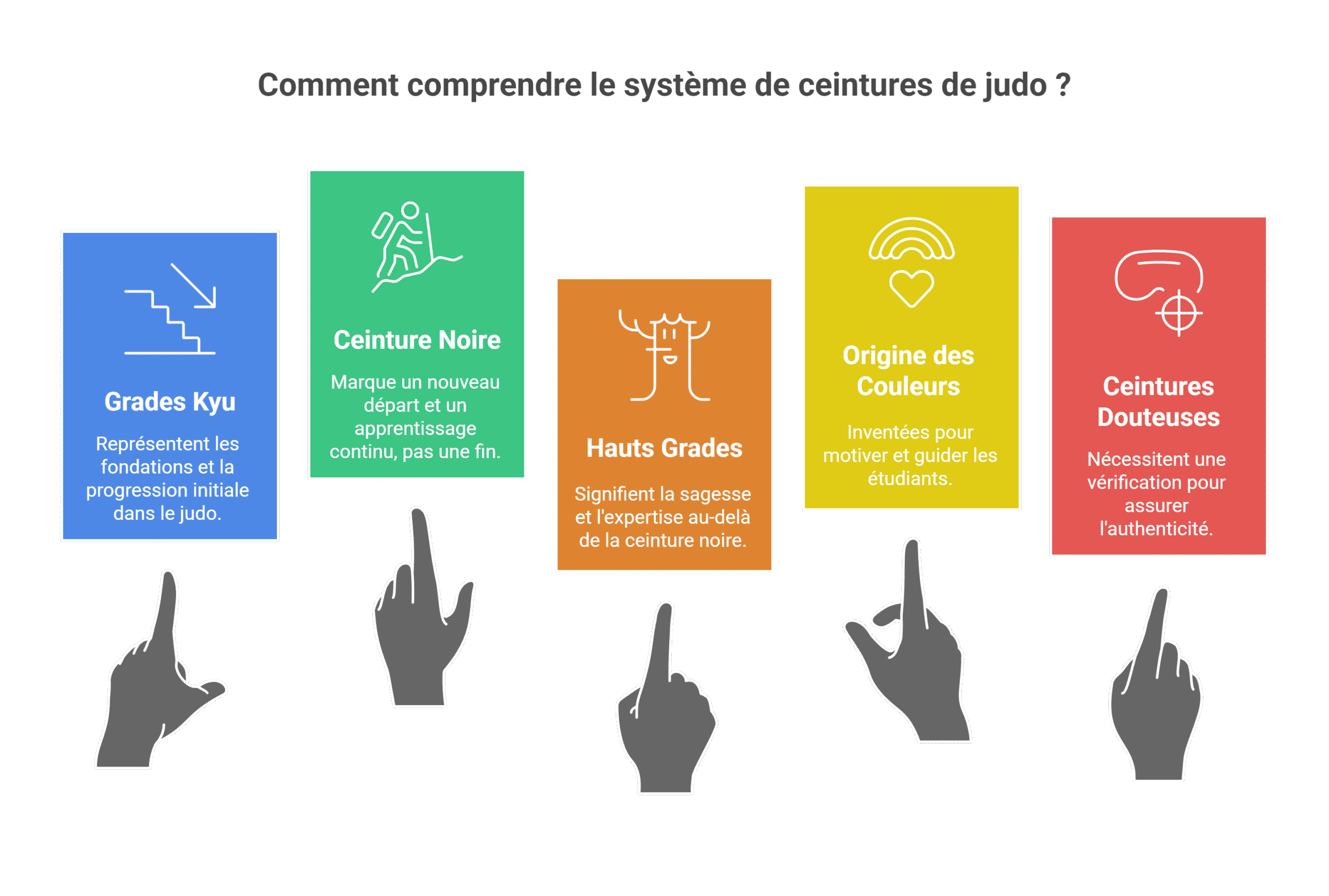 Couleurs ceintures judo - Ordre et grades (Guide 2025)