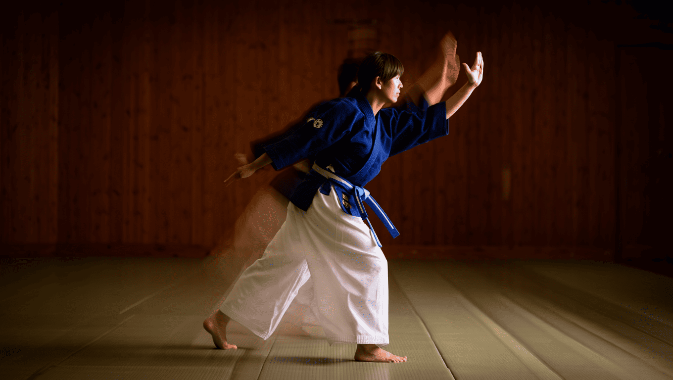 Yoseikan Budo - L'art martial complet [Le guide 2026]